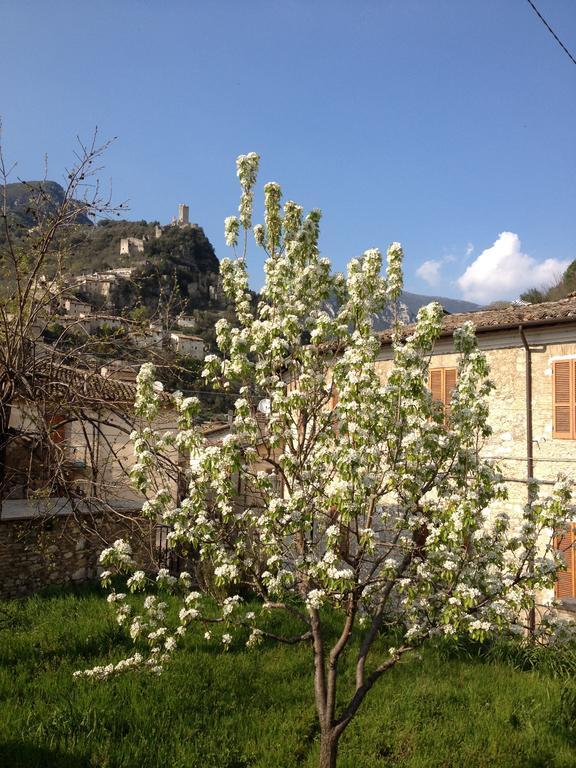 Вілла Il Borgo Agriturismo Ferentillo Екстер'єр фото